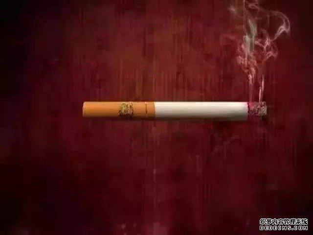 黄金叶新洛烟多少钱一包?价格-口感-参数-包装