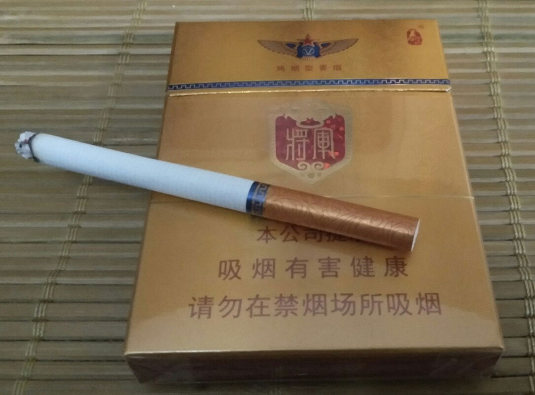 中支金将军