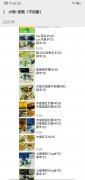 <b>网上买烟的正规网站 正品外烟批发一手货源 微信扫一扫</b>