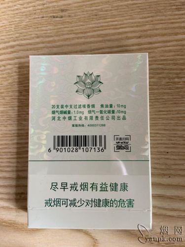 ﻿宝岛（中支）