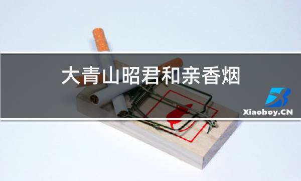 大青山昭君和亲中支价格多少