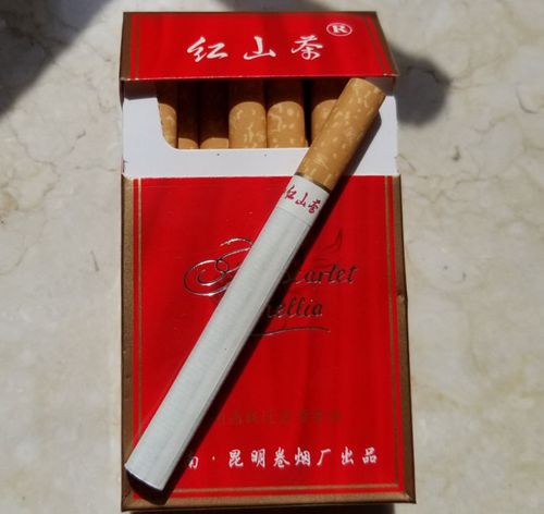 红山茶紫香烟现在值多少钱