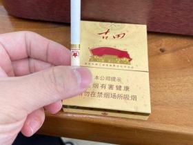 七匹狼古田成功中支什么价