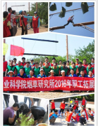 <b>烟草批发商如何在激烈竞争中脱颖而出？</b>