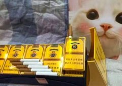 越南代工香烟-商超品质客户首选-厂家直供一手货源