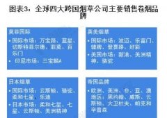 个人可以代理烟草品牌吗（个人可以申请烟草批发许可证吗）